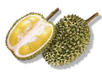 [durian_fruit.jpg]