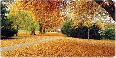 Outono - Oxford