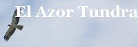 [Azor+Tundra.jpg]