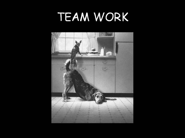 [teamwork.jpg]