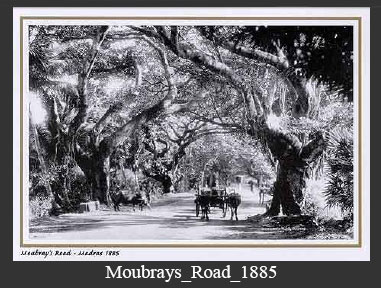 [Moubrays_Road_1885.jpg]