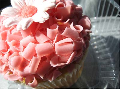 [cupcake+pink+ribbon.jpg]