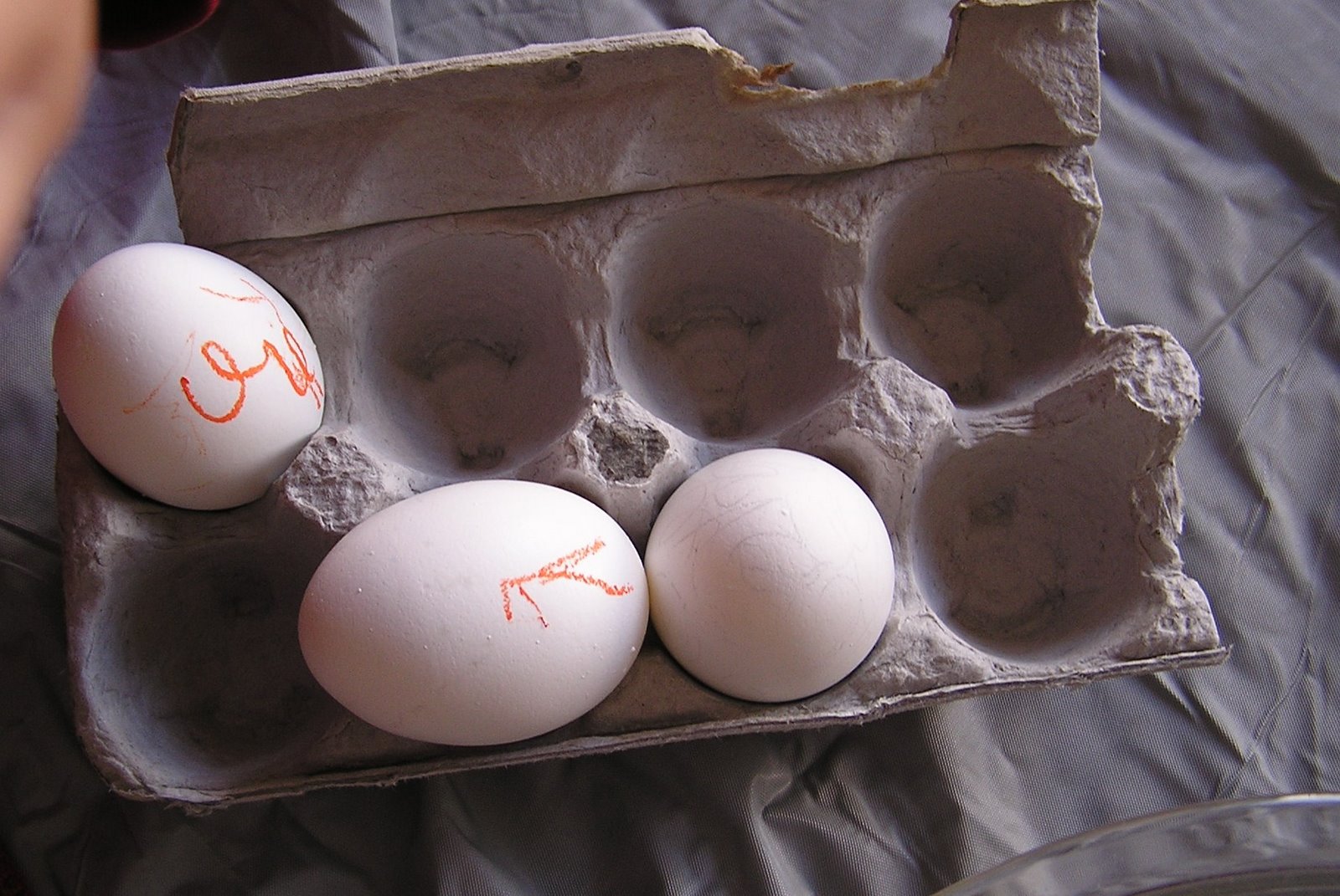 [eggs3.JPG]