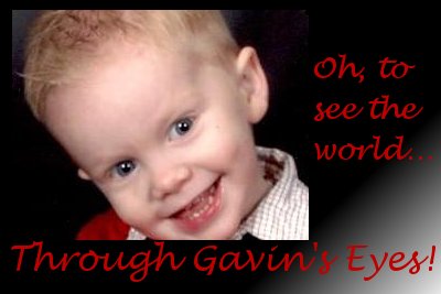 Through Gavin's Eyes