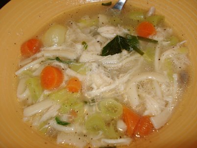 [chicken_noodle_soup.jpg]