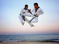 [taekwondo2.jpg]