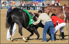 [60135_84APTOPIX-Kentucky-Derby-Horse-Racing_sff.jpg]