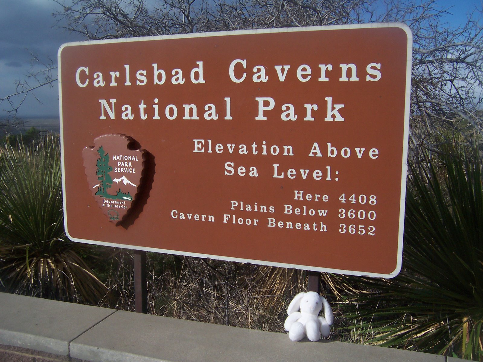 [Western+Texas,+Carlsbad+and+the+Caverns+047.JPG]