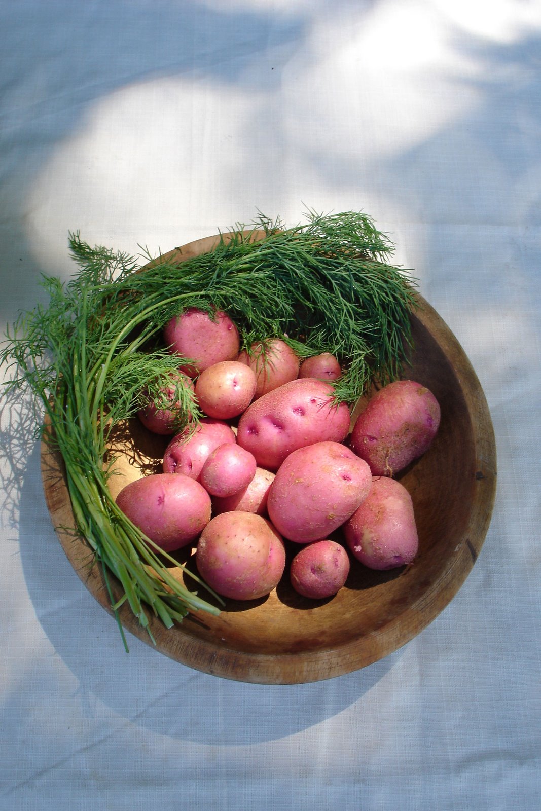[potatoes+and+dill.jpg]