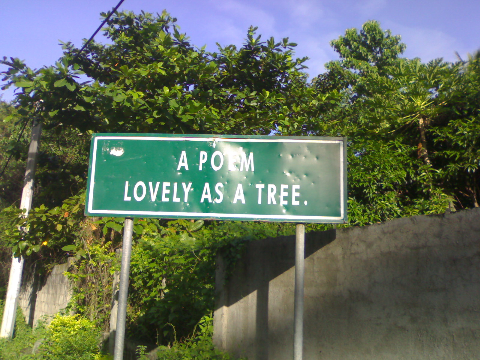 [lovely+as+a+tree.jpg]