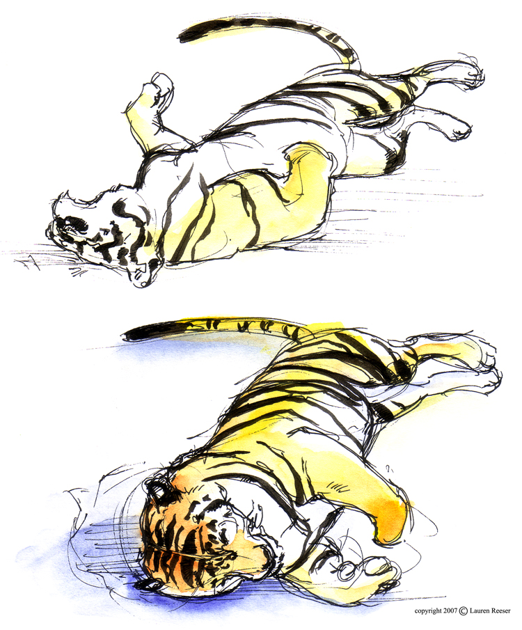 [tigers+2.jpg]