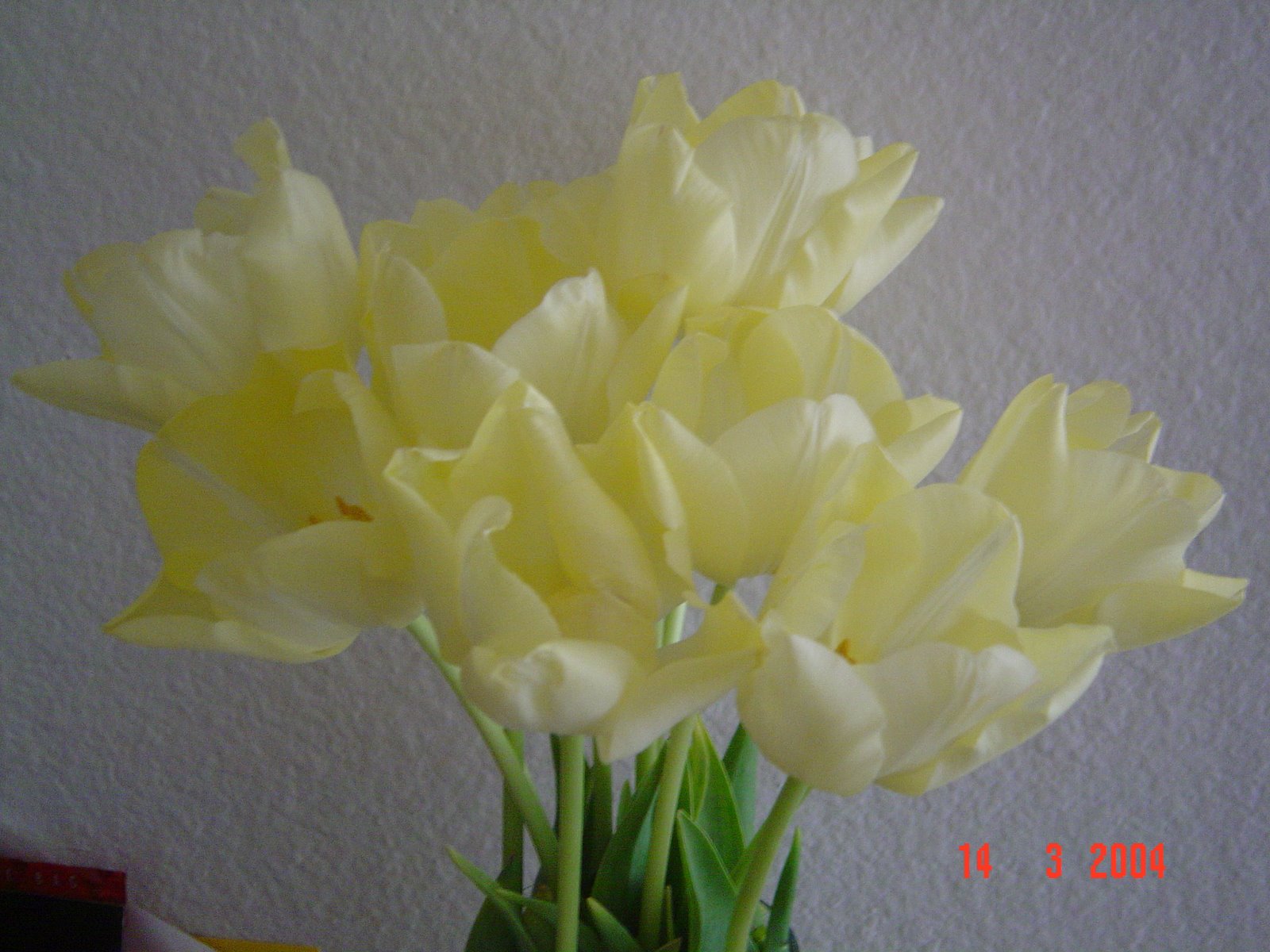 [Flowers_031404_4Bunch06.JPG]