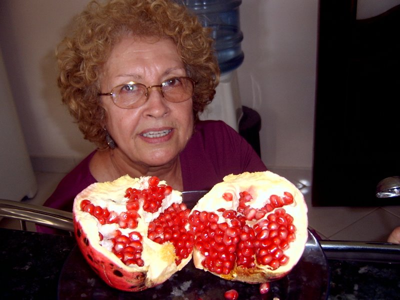 [mom+pomegranate+2006+Brasilia.jpg]