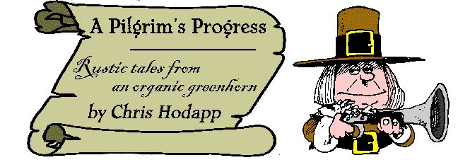 [Pilgrim_logo.gif]