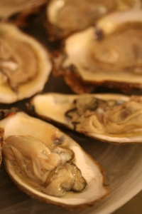 [oysters-s.jpg]