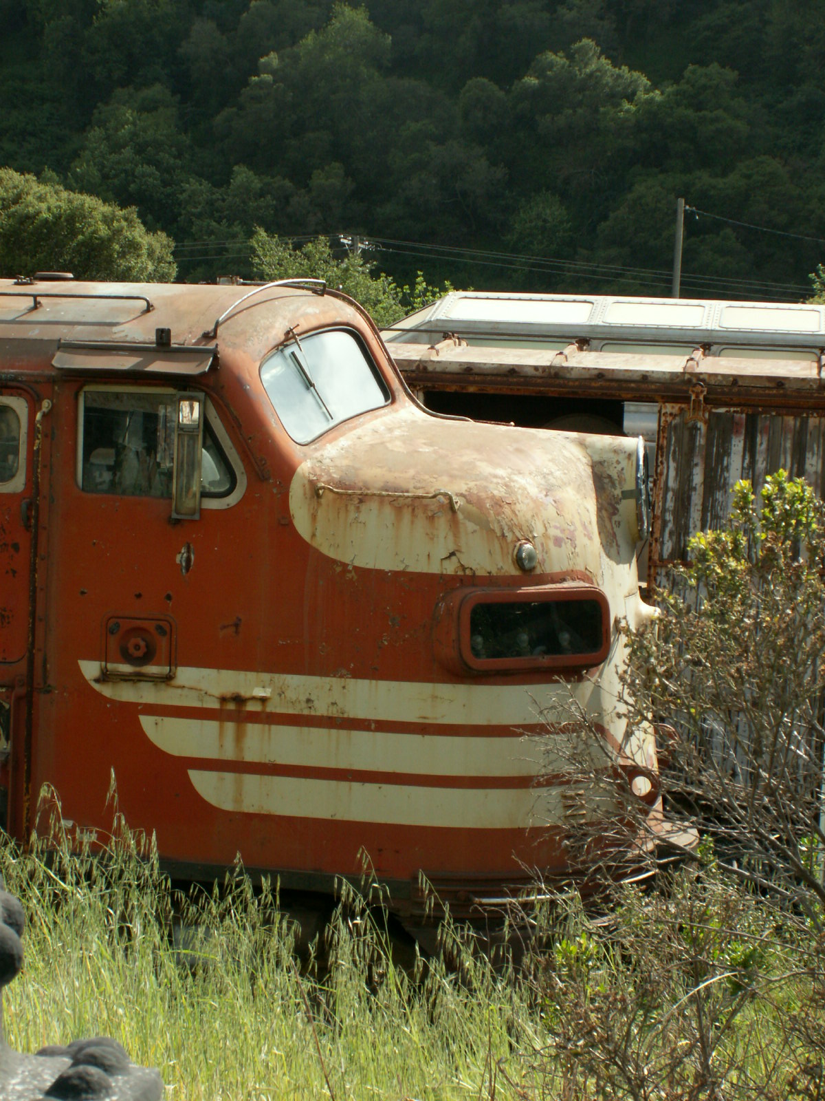 [Niles+Canyon+Railroad+039.jpg]