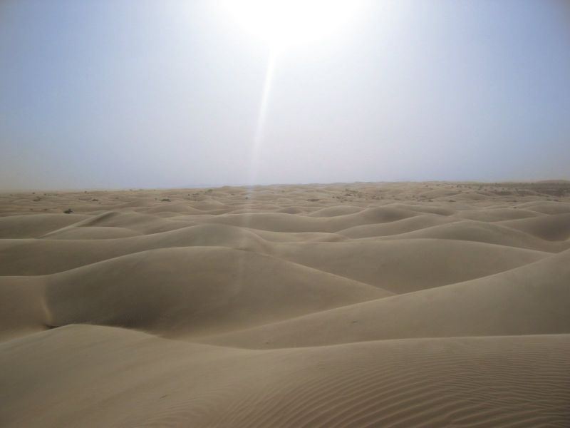 [800px-Sahara_desert.jpg]