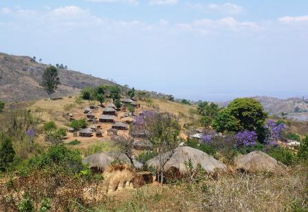 [malawi+village.JPG]
