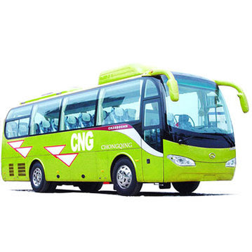 cng bus