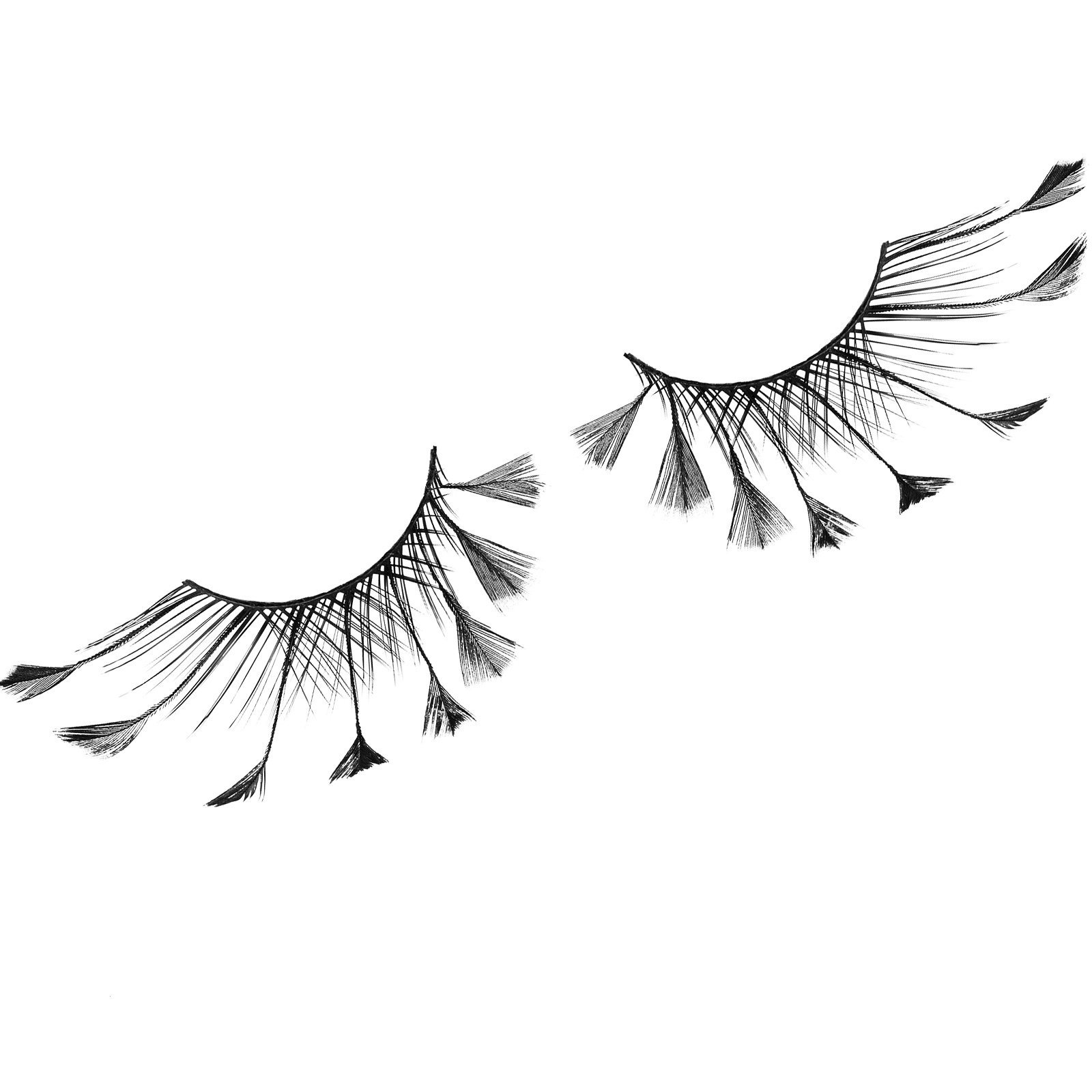 [feather+lashes+use.jpg]