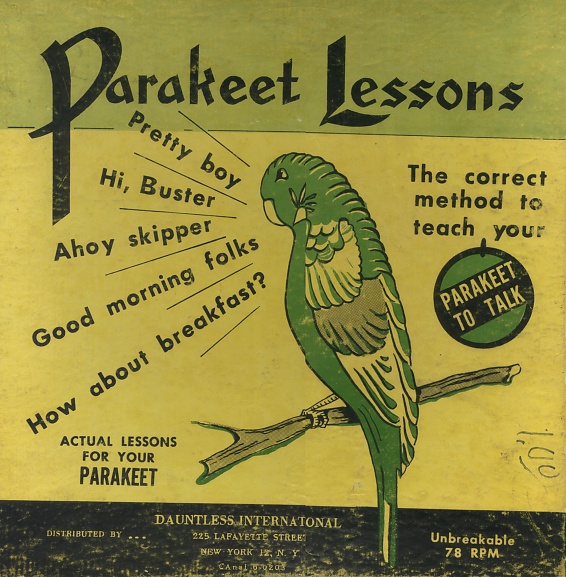 [parakeet_lessons.jpg]