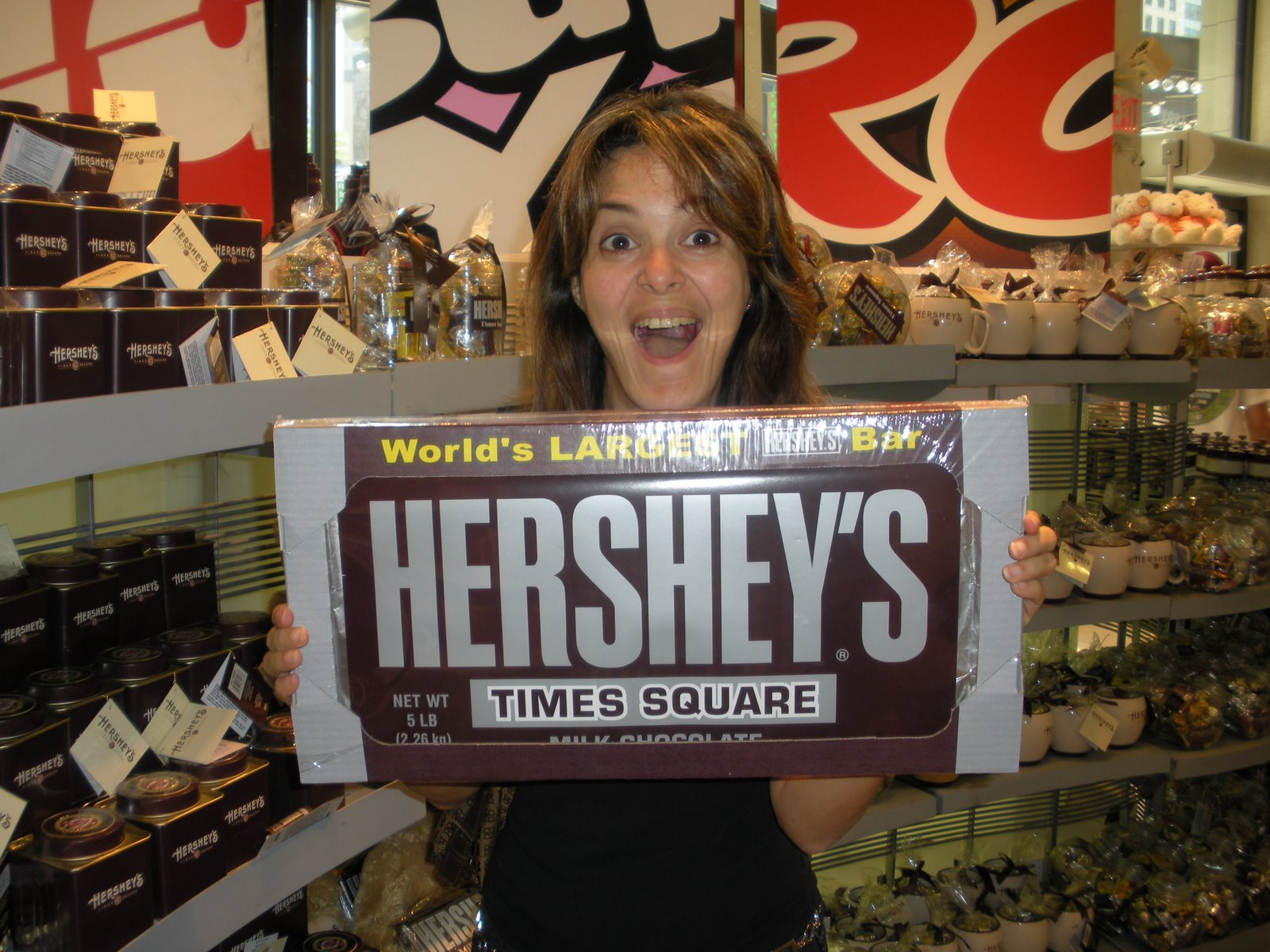 The Largest Hershey Bar on the Planet