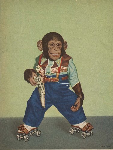 [zippy+the+chimp.jpg]