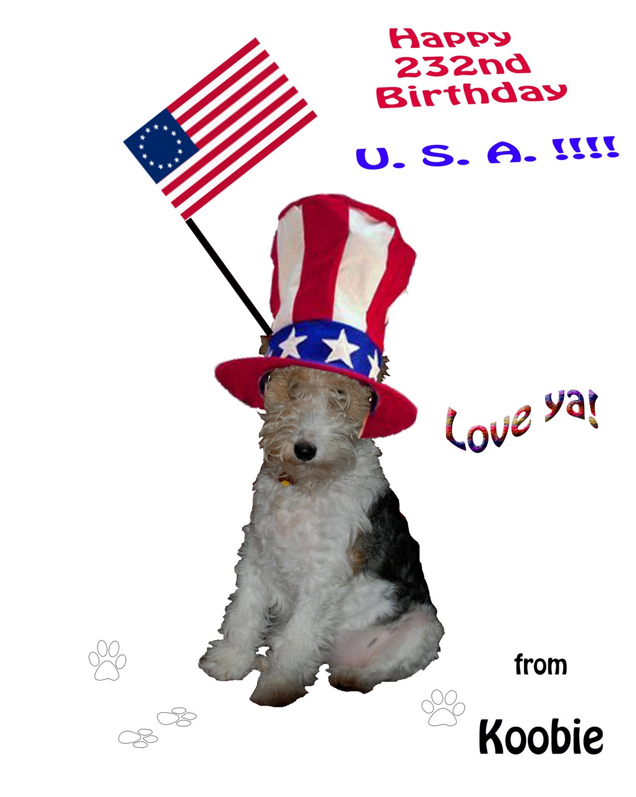 [USA+Birthday+Card.jpg]