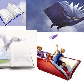 [libros+voladores.jpg]