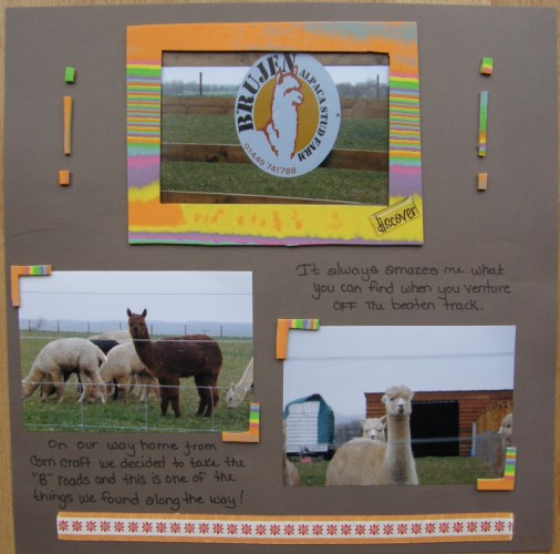 [alpaca+farm+(506+x+500).jpg]