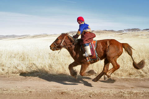 [118_Horse+racing.jpg]