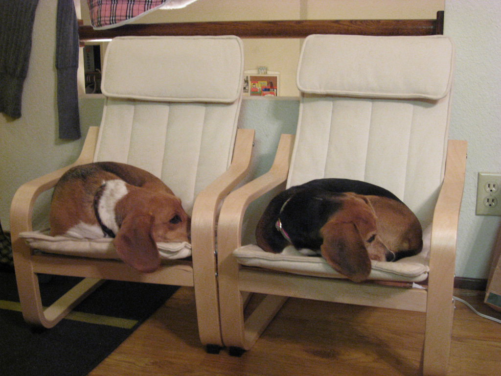 [2008-01-21+Sally+-+Bonnie+on+Poang+Chair+(16).jpg]