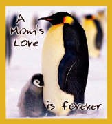 [a+mom's+love.jpg]