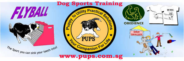 PUPS Activities and Events