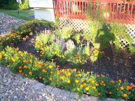 Backyard Garden off the deck