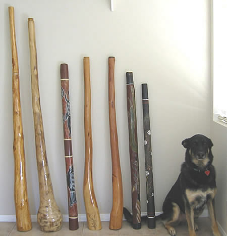 [didgeridoos.jpg]