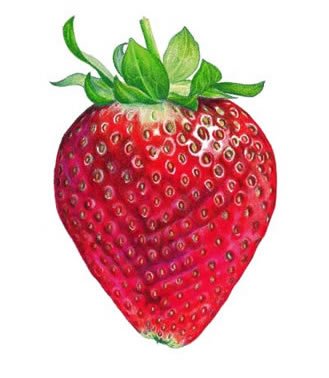 [strawberry.bmp]