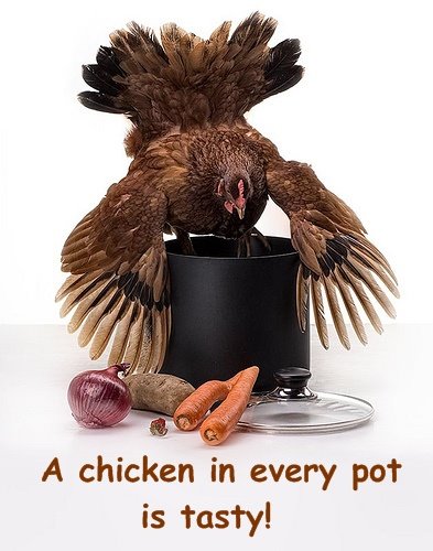 [Chicken+pot.jpg]