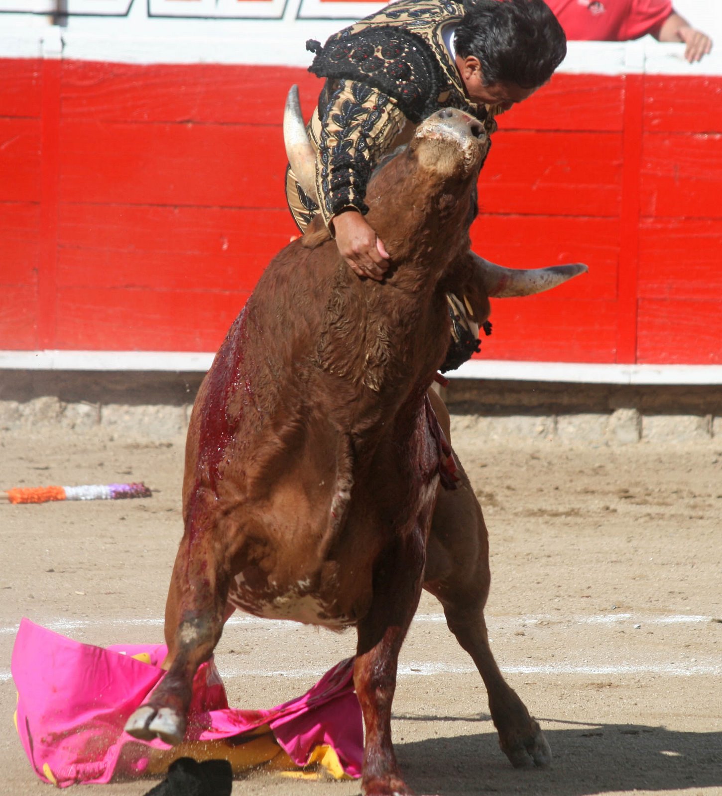 [Mexicali+Bullfight.jpg]