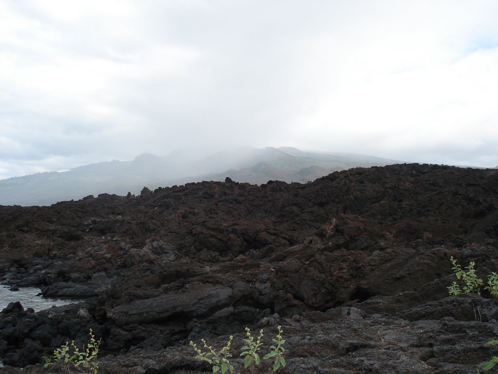 [South+Maui+lava+field.JPG]