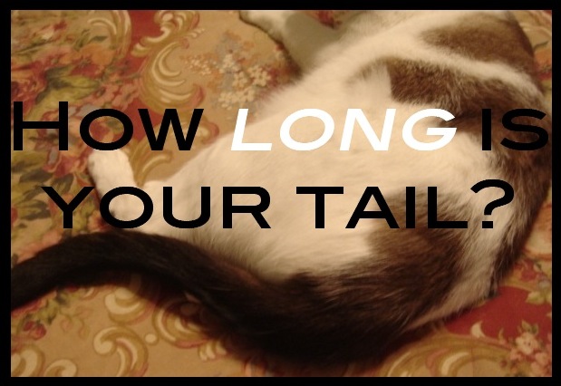 [long+tail.jpg]