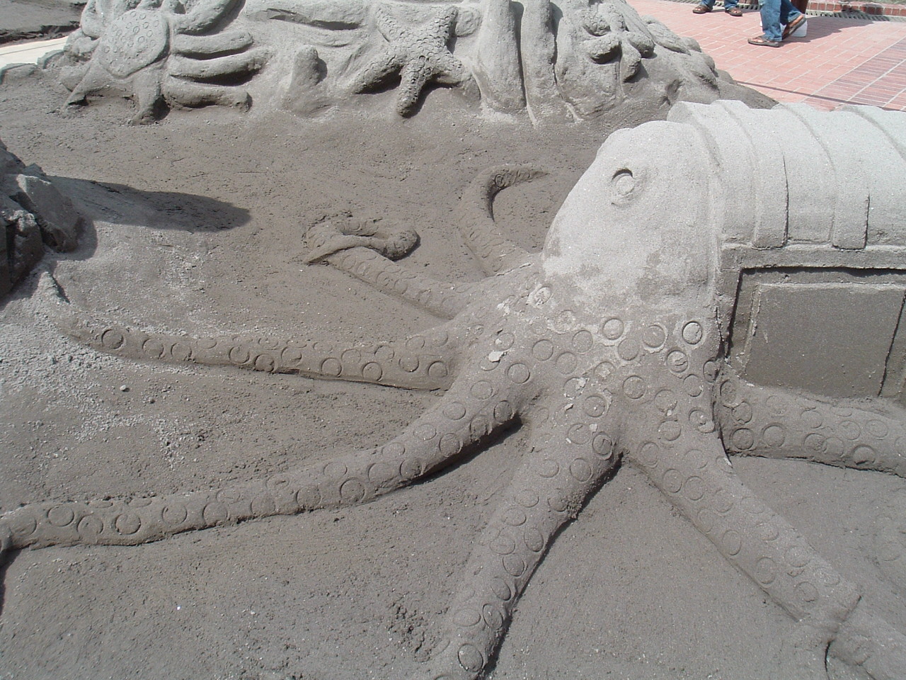 [Octopus+Sandsculpture.JPG]