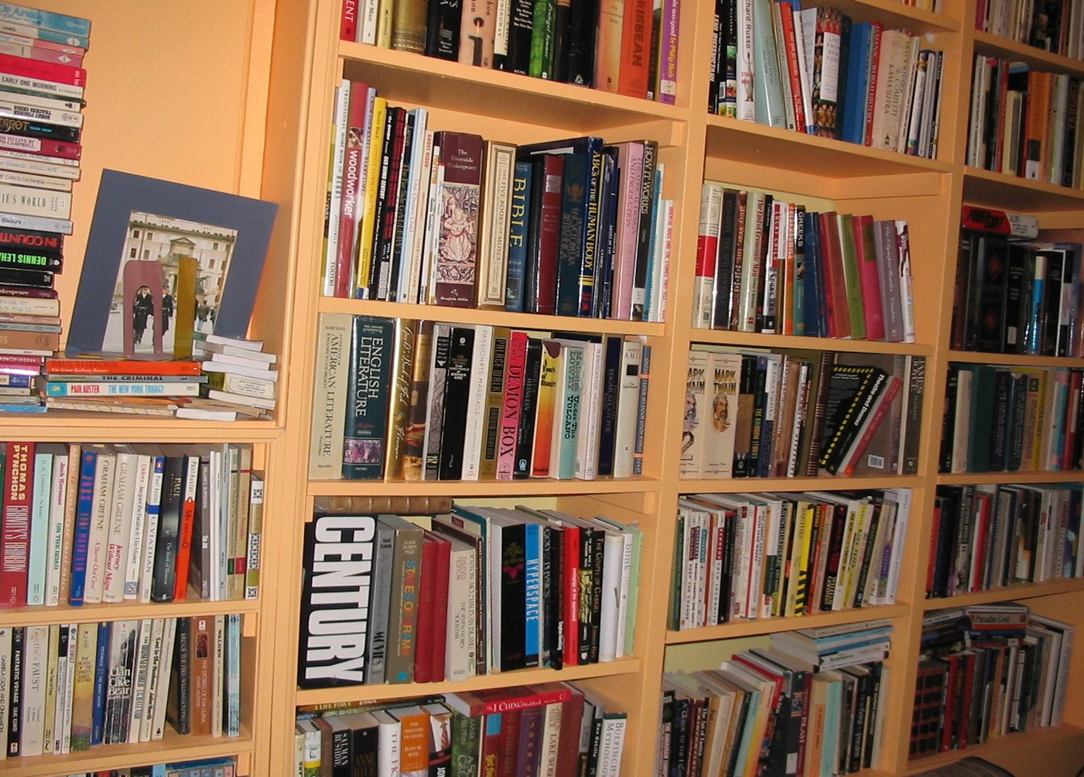 [Bookshelves.JPG]