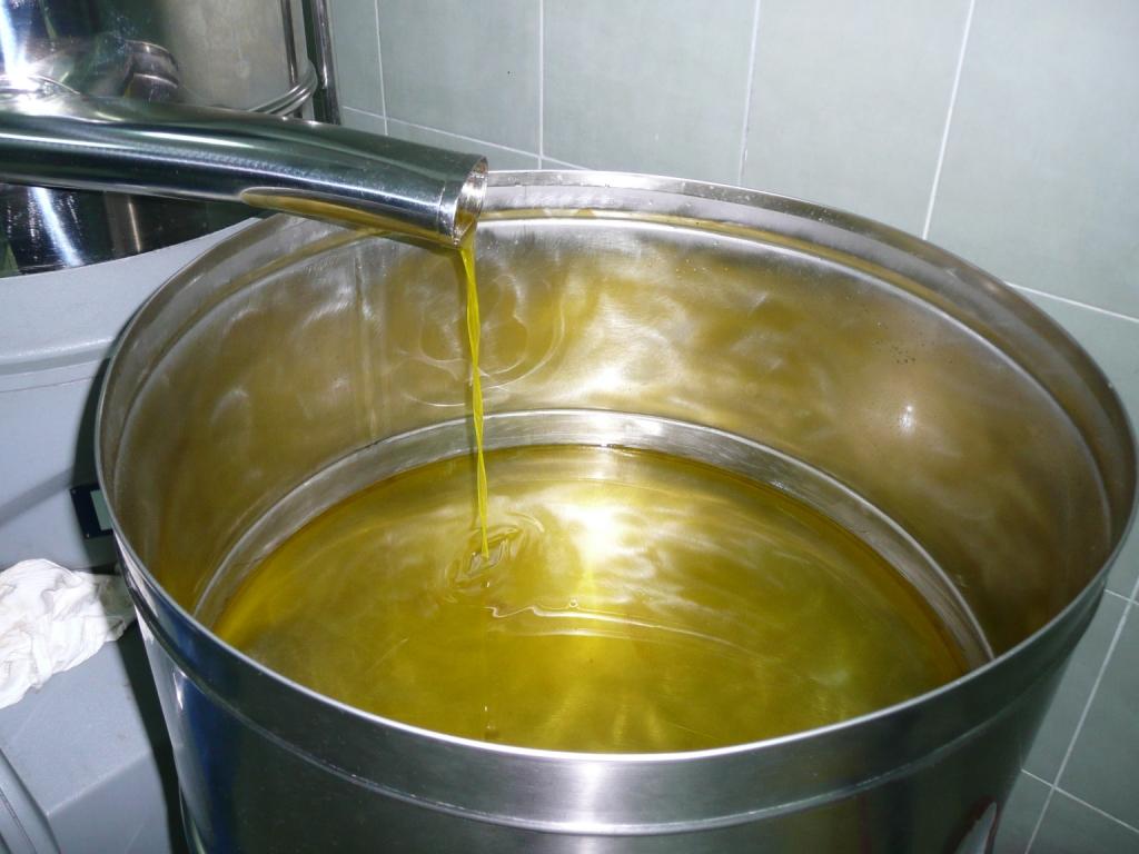 [Olive+Oil.JPG]