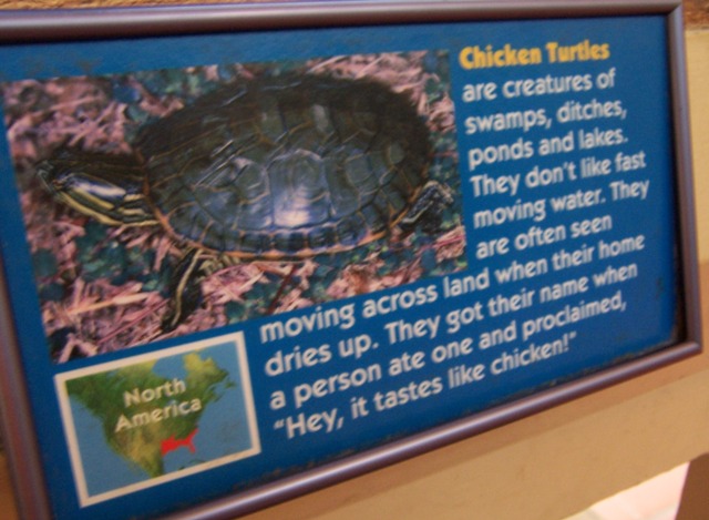 [chicken+turtle+sign.jpg]