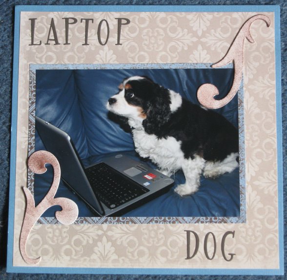 [lap+top+dog+copy.jpg]