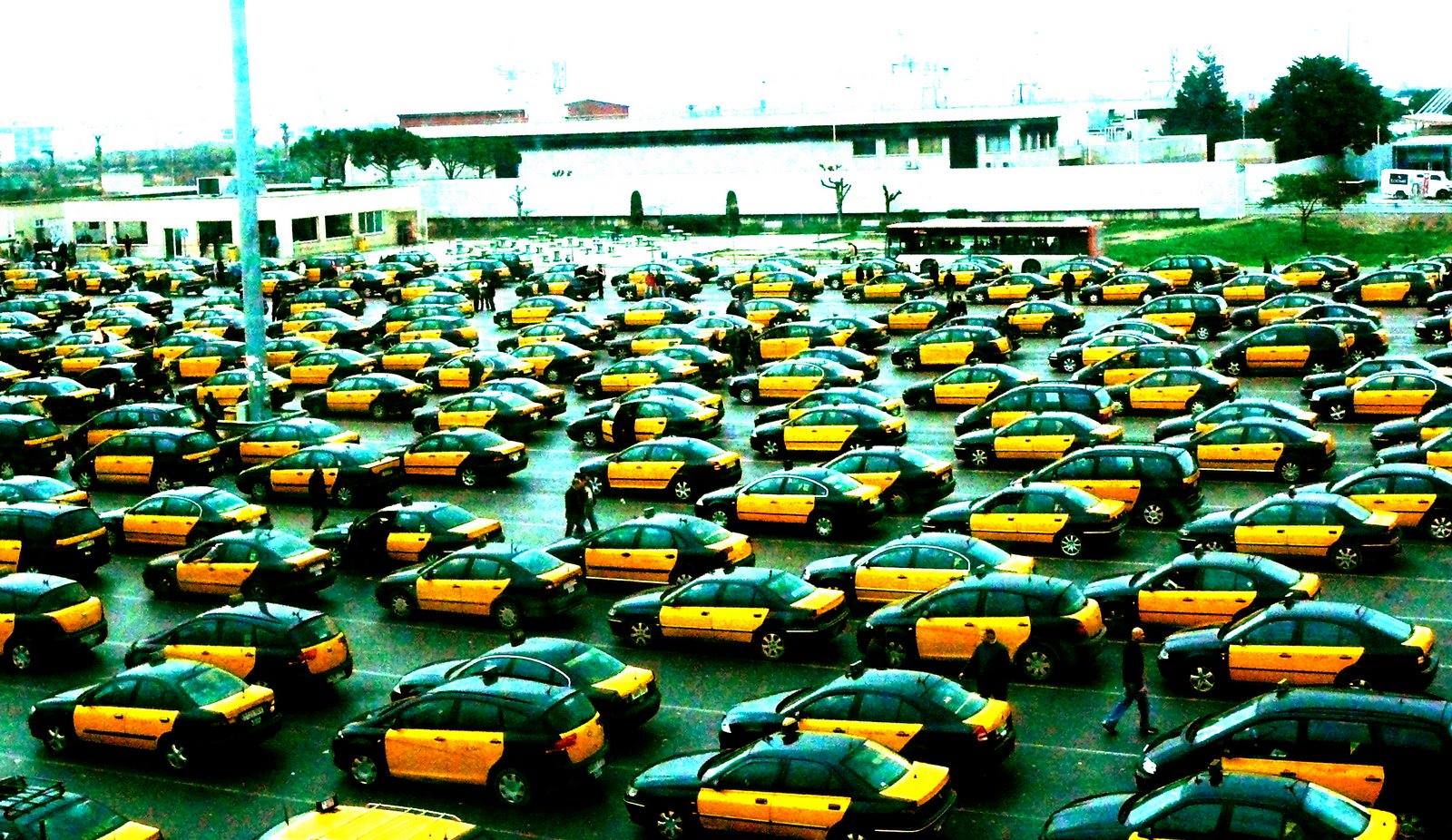 [taxis.jpg]