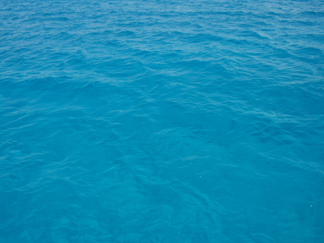 [Conception+pool+blue+water.JPG]