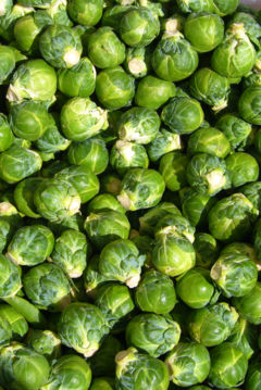 [240px-Brussels_sprout_closeup.jpg]