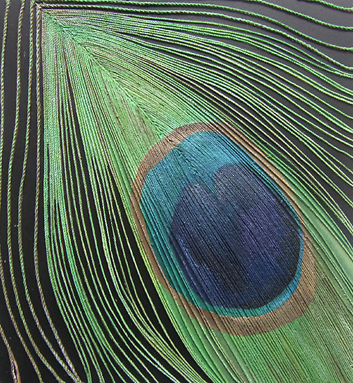 [338695-1-peacock-feather.jpg]
